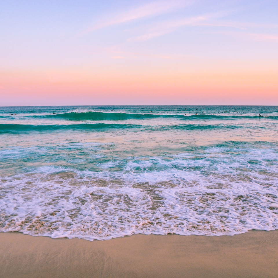 Palm Beach